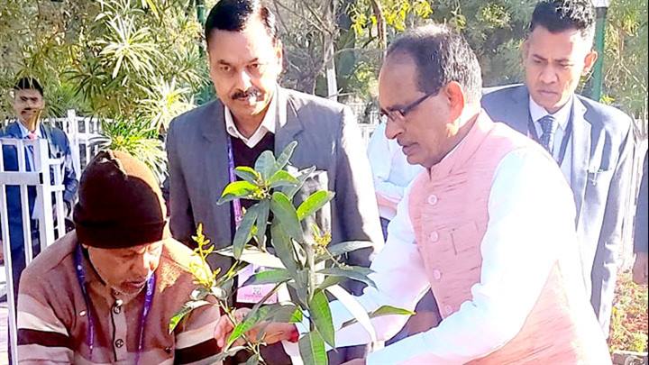 मुख्यमंत्री श्री चौहान ने इंदौर में रेसीडेंसी कोठी गार्डन में आम का पौधा लगाया